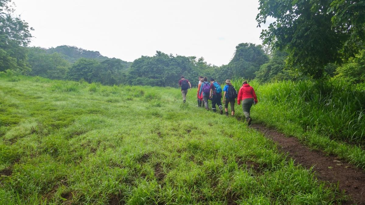 Students hiking up a path on a grassy hill.