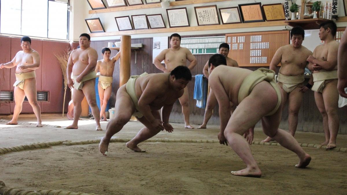 Sumo Wrestlers in a match
